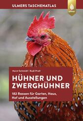 H&uuml;hner und Zwergh&uuml;hner