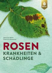 Rosenkrankheiten und Sch&auml;dlinge