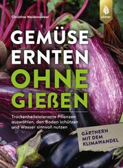 Gem&uuml;se ernten ohne gie&szlig;en
