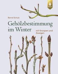 Geh&ouml;lzbestimmung im Winter