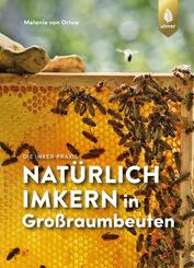 Nat&uuml;rlich imkern in Gro&szlig;raumbeuten