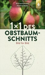 1 x 1 des Obstbaumschnitts (eBook, ePUB)