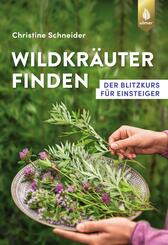 Wildkr&auml;uter finden