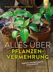 Alles &uuml;ber Pflanzenvermehrung