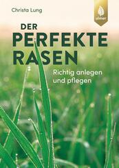 Der perfekte Rasen
