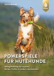 Powerspiele f&uuml;r H&uuml;tehunde