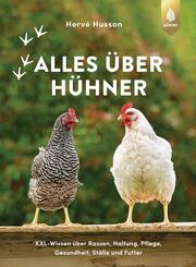 Alles &uuml;ber H&uuml;hner
