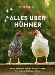Alles über Hühner (eBook, PDF)