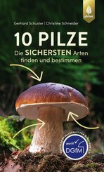 10 Pilze (eBook, PDF)