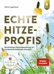 Echte Hitzeprofis (eBook, ePUB)