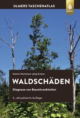 Waldsch&auml;den