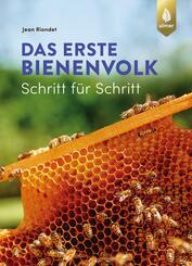 Das erste Bienenvolk  - Schritt f&uuml;r Schritt