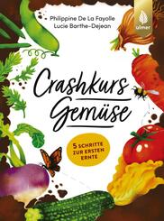Crashkurs Gem&uuml;se