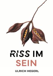 Riss im Sein