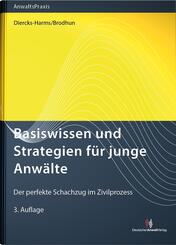 Basiswissen und Strategien f&uuml;r junge Anw&auml;lte