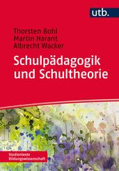 Schulp&auml;dagogik und Schultheorie
