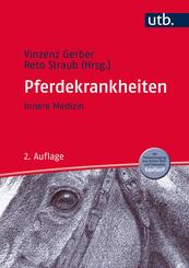 Innere Medizin