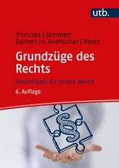 Grundz&uuml;ge des Rechts