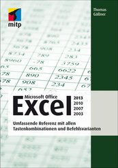 Microsoft Office Excel 2013, 2010, 2007, 2003 (eBook, PDF)