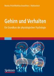 Gehirn und Verhalten