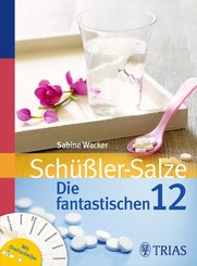 Schüßler-Salze: Die fantastischen 12 (eBook, PDF)