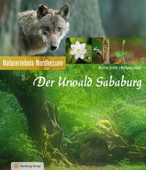 Der Urwald Sababurg - Naturerlebnis Nordhessen