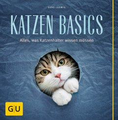 Katzen-Basics (eBook, ePUB)