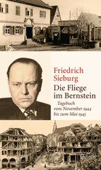 Die Fliege im Bernstein (eBook, PDF)