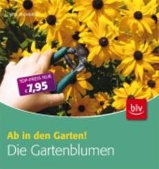 Die Gartenblumen