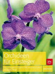 Orchideen f&uuml;r Einsteiger