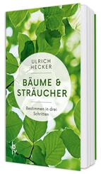 B&auml;ume und Str&auml;ucher