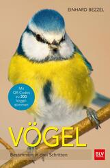 V&ouml;gel