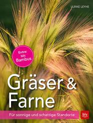 Gr&auml;ser & Farne