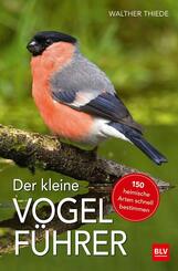 Der kleine Vogelf&uuml;hrer