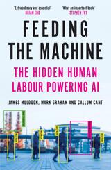 Feeding the Machine : The Hidden Human Labour Powering AI
