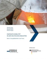 Energieflexibilit&auml;t in der deutschen Industrie