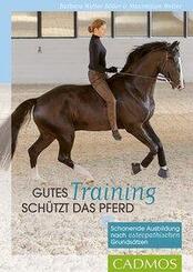 Gutes Training sch&uuml;tzt das Pferd