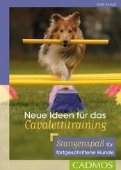 Neue Ideen f&uuml;r das Cavalettitraining