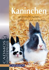 Kaninchen (eBook, ePUB)