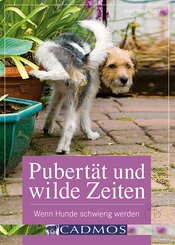 Pubertät und wilde Zeiten (eBook, ePUB)