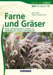 Farne und Gr&auml;ser