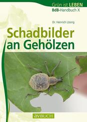 Schadbilder an Geh&ouml;lzen