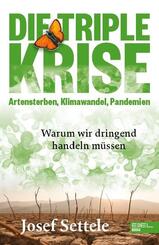 Die Triple-Krise