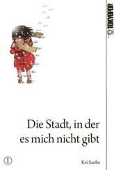Die Stadt, in der es mich nicht gibt.Bd.1