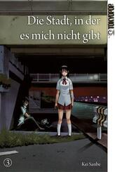 Die Stadt, in der es mich nicht gibt.Bd.3
