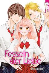 Fesseln der Liebe. Bd.6.Bd.6