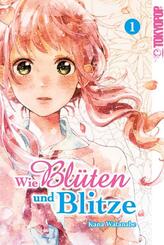Wie Bl&uuml;ten und Blitze 01