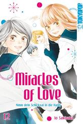 Miracles of Love - Nimm dein Schicksal in die Hand.Bd.12
