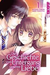 Die Geschichte vom Untergang unserer Liebe.Bd.1