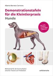Demonstrationstafeln f&uuml;r die Kleintierpraxis Hunde